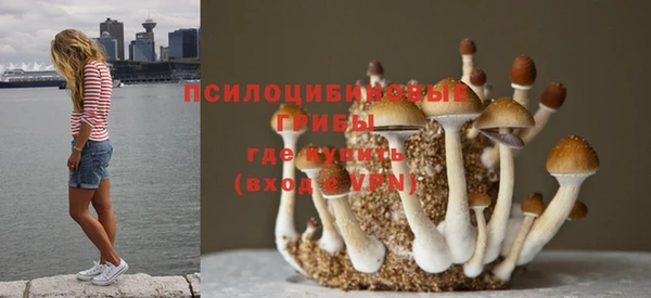 прущий лед Майский