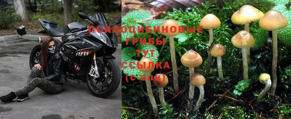 а пвп мука Абинск