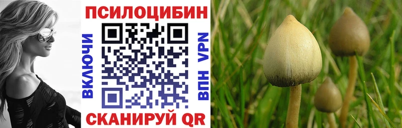 Галлюциногенные грибы мухоморы OMG онион Невельск